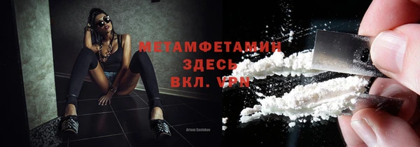 индика Верхний Тагил