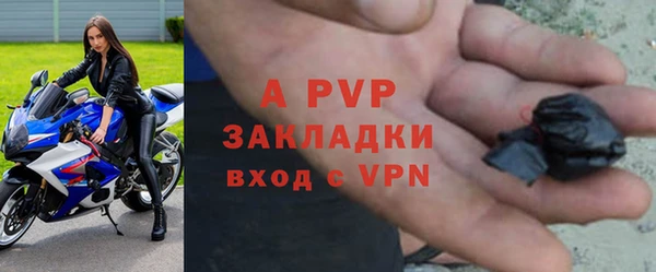 индика Верхний Тагил