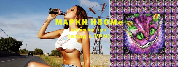 индика Верхний Тагил