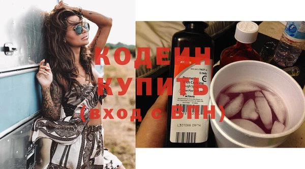 индика Верхний Тагил