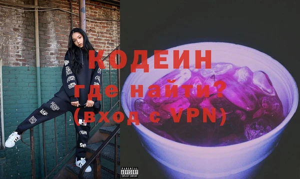 индика Верхний Тагил