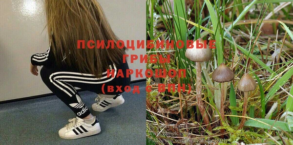 мдпв Бугульма