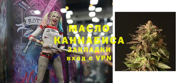 индика Верхний Тагил
