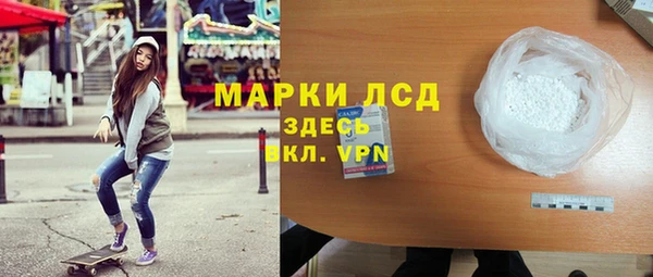 индика Верхний Тагил