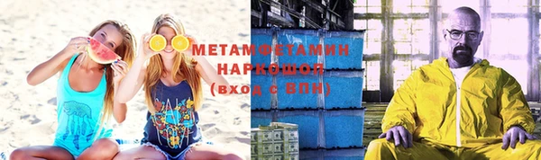 индика Верхний Тагил